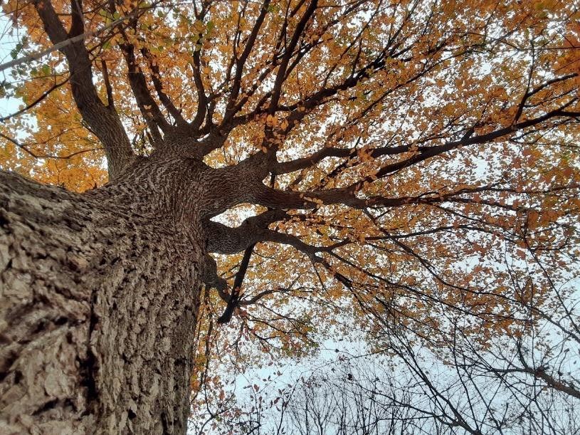 The Land and Our Story