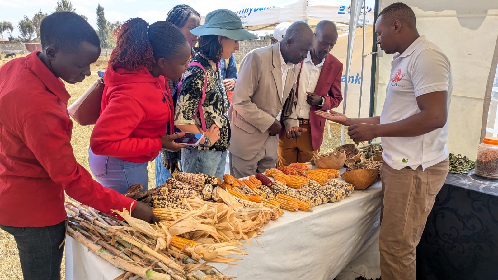 Trees for Food, Peace and Ecological Healing